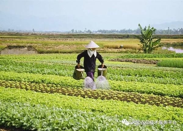 国家公布农村土地确权最新进度，这20个细节不能忽视！