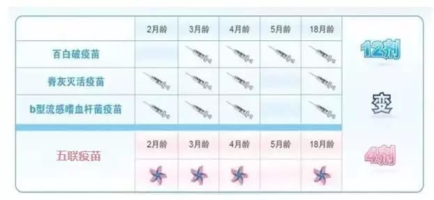 五联疫苗多少钱