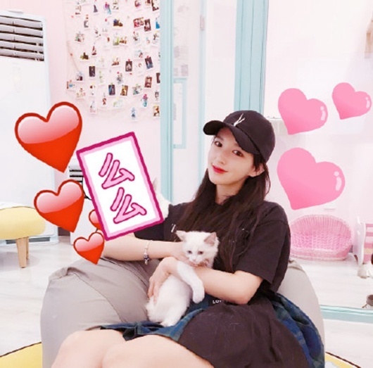 程潇周洁琼与爱猫合影上热搜 防弹金泰亨BIGB