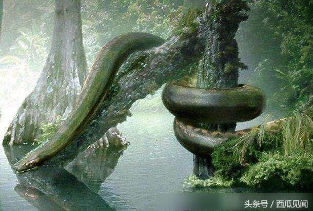 这条蛇吃鳄鱼就像吃辣条一样，有史以来最大的蛇，看它的姓就懂了
