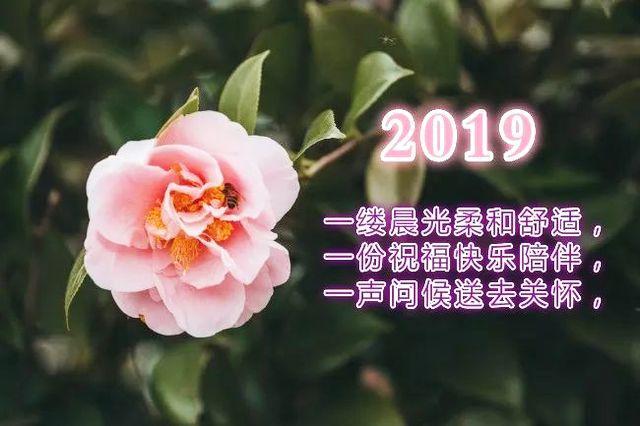 新的一年早上好祝福语 2019早上好图片表情图