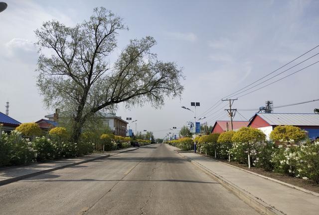 黑龙江省绥化市北林区兴福镇全力抓好春耕工作