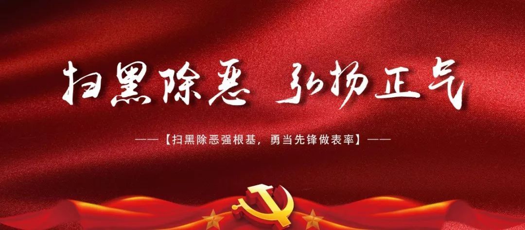 扫黑除恶强根基,勇当先锋做表率--浏阳三中党支