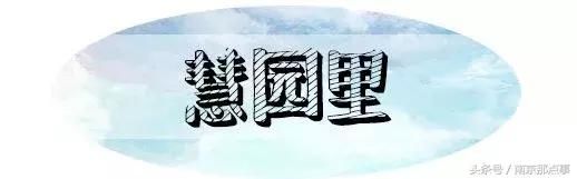 别总去中山陵夫子庙啦!南京这10个绝美冷门景点,小长假走起!