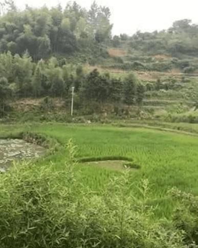 《向往的生活》拍摄地原来长这样,少了滤镜蘑