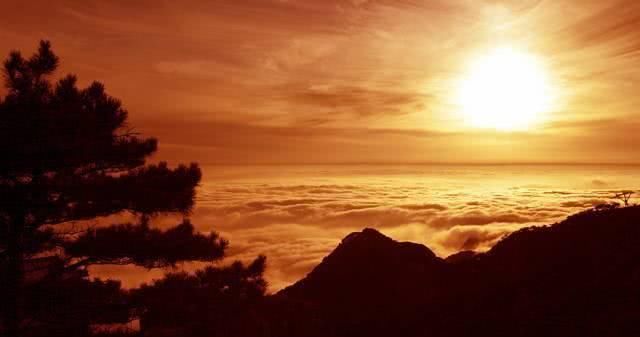 2019年共多少起地震