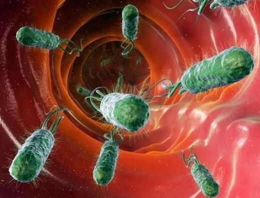 感染幽门螺杆菌的4种最明显的症状