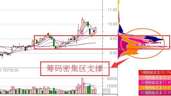 32岁海归女交易员临终感言：选股一辈子只看一个指标，值得读10遍