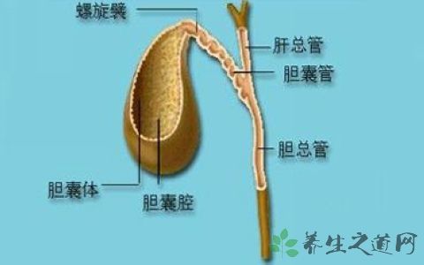 胆息肉病变治疗方法