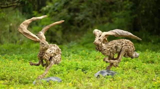 有人说朽木不可雕,他偏不信,终于耗时三十年把