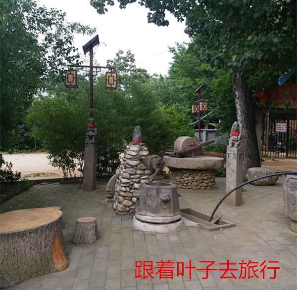 王家大院白面馒头唤起忆古思甜的关中记忆