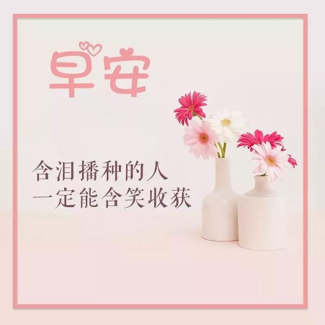 t017c3e439548291c2d.jpg