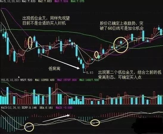 强到没朋友的MACD选股指标应用