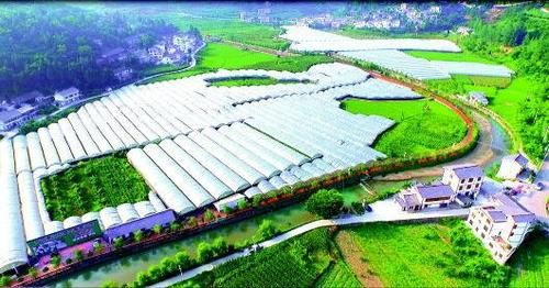 重磅!国家旅游局:打造田园综合体 促农旅融合发