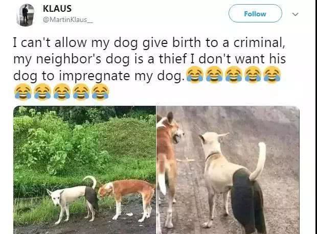 图片自制黑白裤为狗子防性骚扰,一个敢想,一个a图片主人贞操女生高清图片