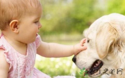 日常生活中怎样预防狂犬病