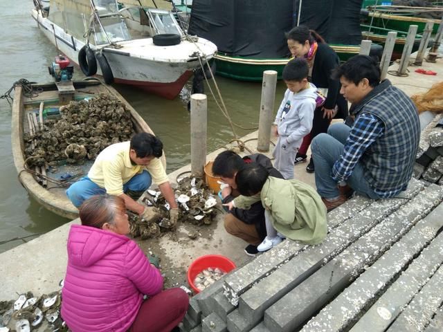 海南行第11日，海口到渔村曲口码头。