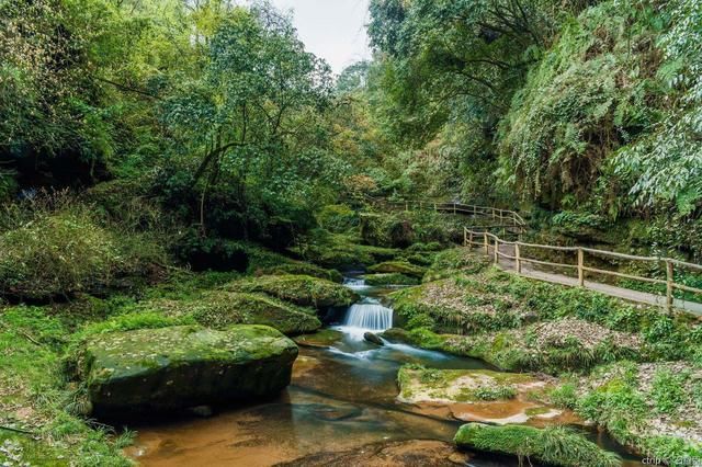 318川藏线风光:川藏线南线沿途景点介绍之雅安!