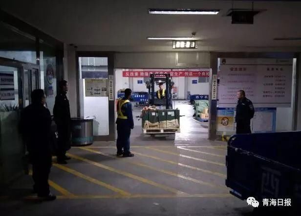 雪豹凌雪太后回家啦!