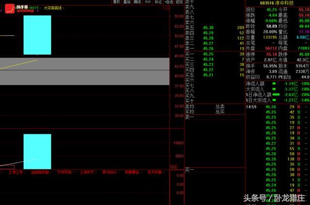 佛山做T掩护猪肉荣8200万出逃，上市第二天惨跌停赵老哥700万抄底