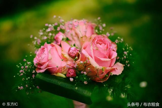有一种缘分,叫有缘无分;有一种爱情,叫错爱一生
