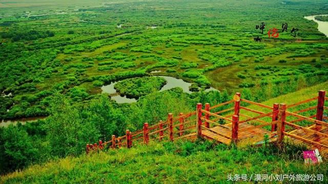 夏天去呼伦贝尔旅游,这些线路及注意事项,你要知道!