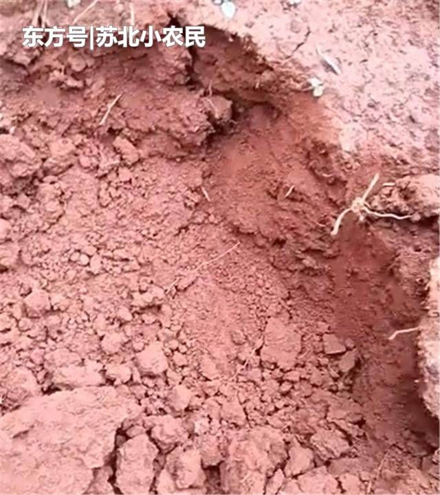 山上有条地缝，村民刨开泥土，地下挖出的“野味”让他发了笔小财