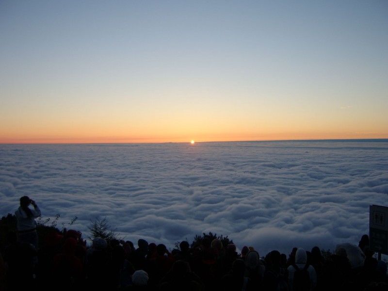 山东省2018年上半年发展最突出的城市,经济实