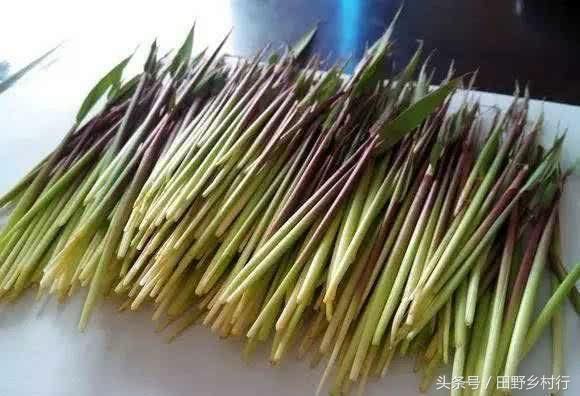 春天来了，农村这几种东西马上可以吃了，你吃过吗？