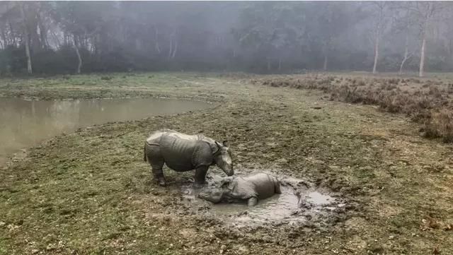尼泊尔,还想再来一次的旅行地!不是你想象中的贫穷与落后……