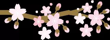 这个春天，最美的樱花都在这了！