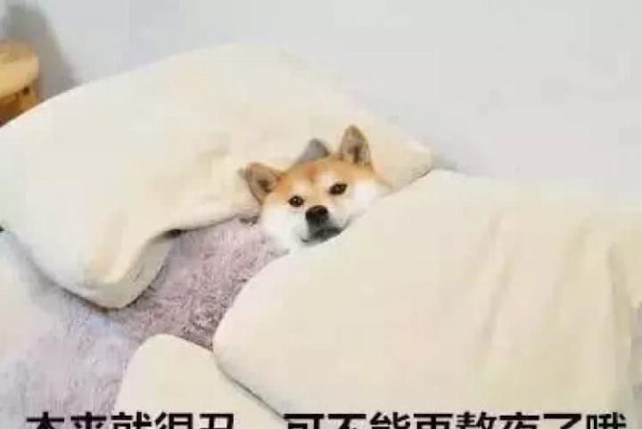 “绝症”黑眼圈没救了?不,用对眼霜就可以 博九在线娱乐