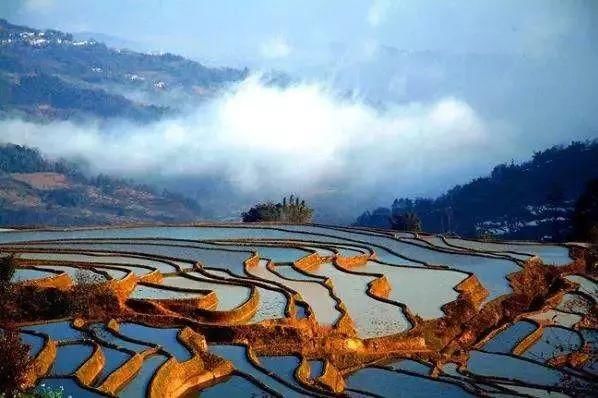 CC推荐2连红!推荐、大小球全中 今日早场已更