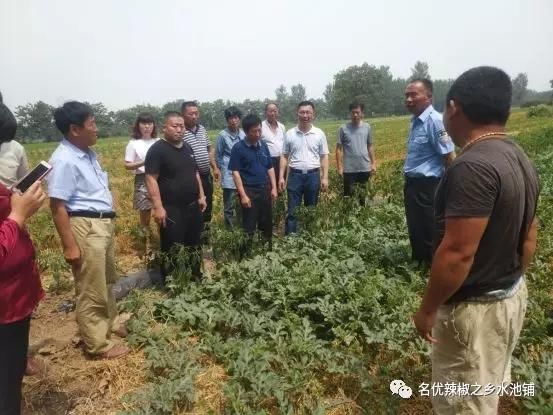 商丘市水池铺乡进行第二季度逐村观摩 整乡推