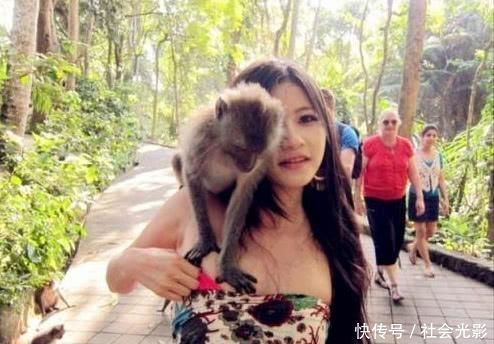 峨眉山的猴子爱耍流氓,女游客:太恐怖了,再也不