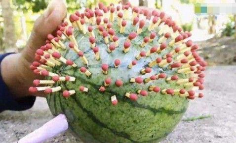 农村男子用火柴插满西瓜做实验, 烈焰西瓜 究竟