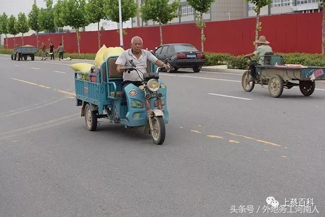 今年河南上蔡小麦收成咋样听听农民怎么说