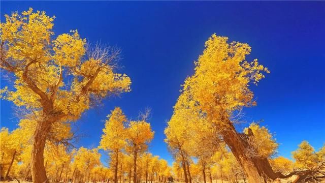 这世界许你一双脚,就请走出自己的精彩!