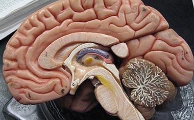 适量饮酒带给你身体7大改变