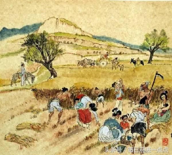 观刈麦唐朝白居易_【快资讯】