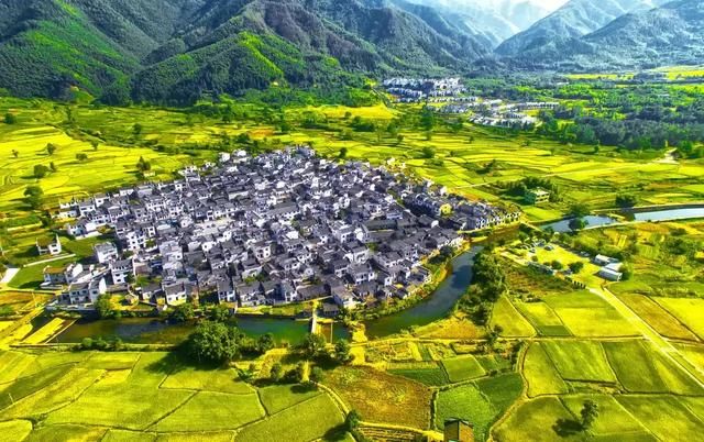 如果你来安徽,我会带你来黟县卢村