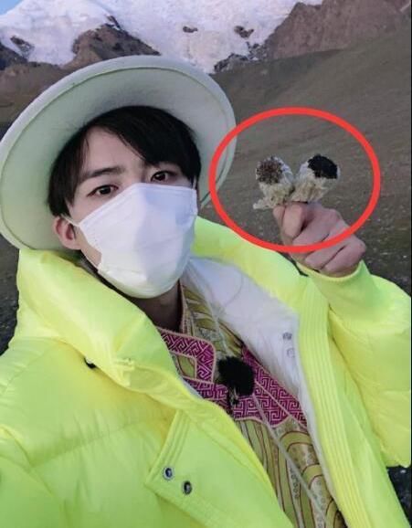 又翻车！吴宣仪金子涵涂口红亲吻海豚遭点名批评