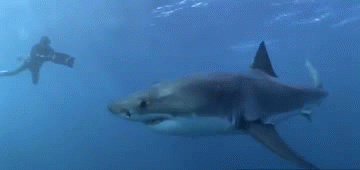 爆笑GIF:媳妇你又在调皮了