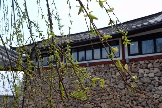 这座民宿位于玉龙雪山脚下第一村旁，是99％的游客都不知道的秘境