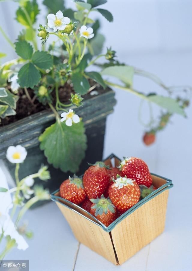 t017f95c15d22cbffcd.jpg