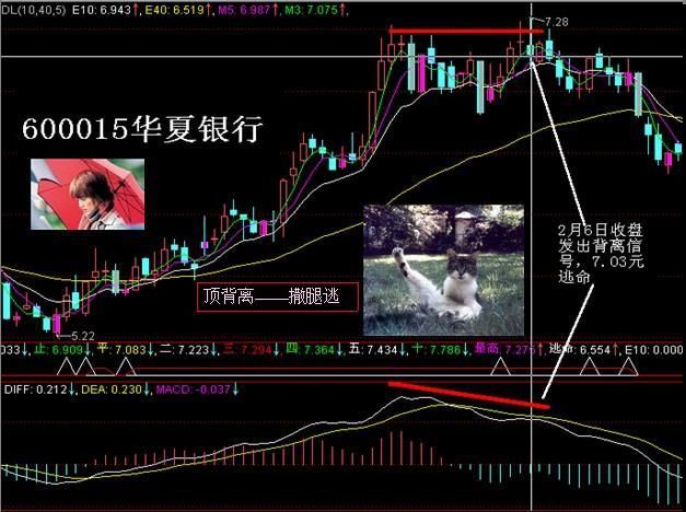 中国股市最牛的人：只学会了macd指标就能赚钱，你学会了吗？