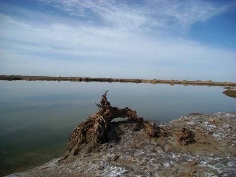 新疆沙漠中突然出现湖泊，占地10350km，水到底从哪儿来的？