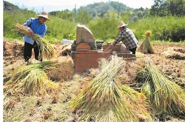 “乡村振兴”并非把乡村都变城镇，而是让农村成为美丽的家园