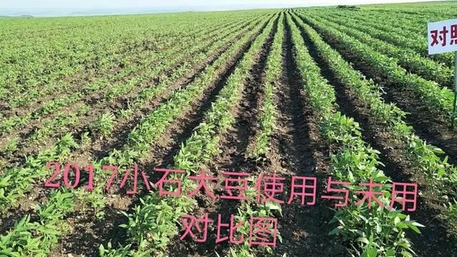 专治盐碱地土壤的“土狼”闪耀登场！