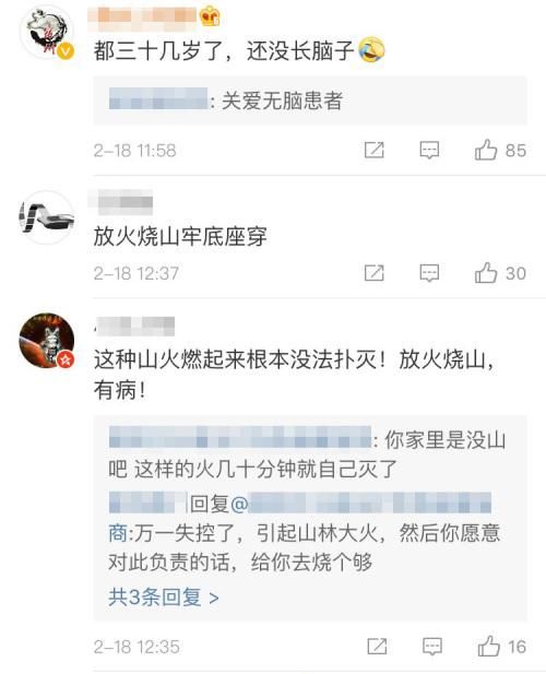 男子上山放火还晒图 消防:30岁了不知道放火违法?